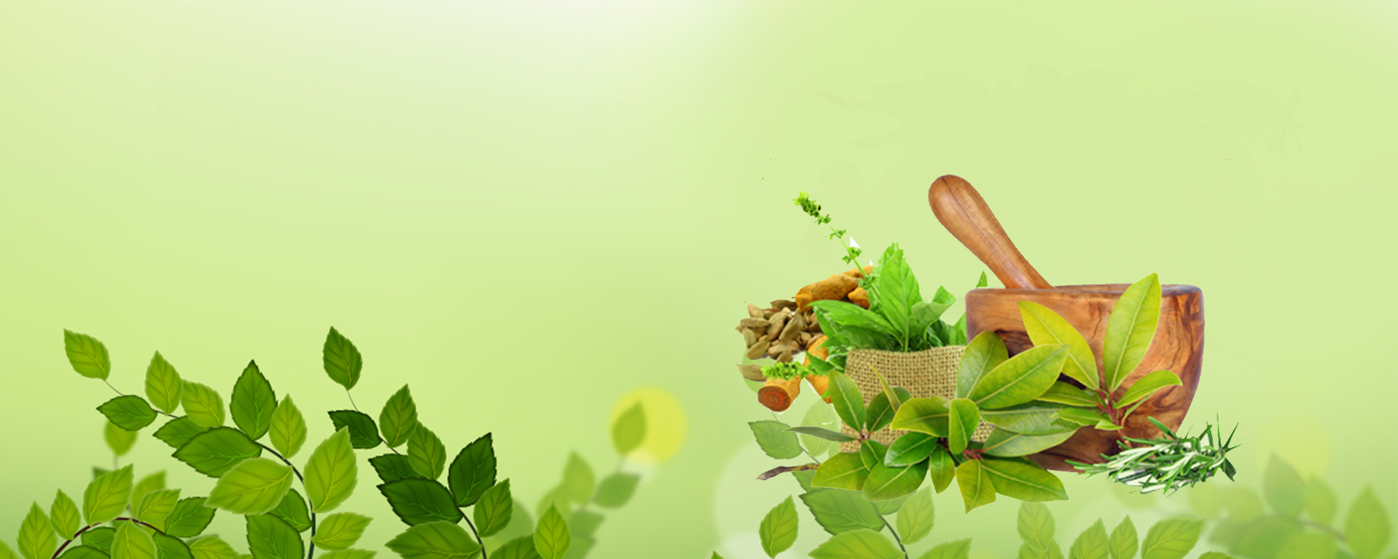 Ayurvedic herbs and mortar